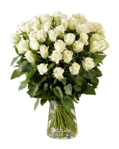 2 dozen White Holland Roses in a Vase