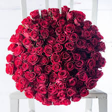 100 Red Holland Roses in a Bouquet