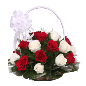 12 White and Red Holland Roses in a Basket