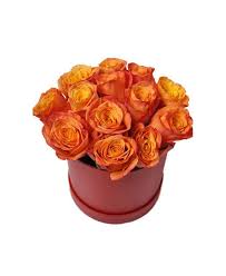 1 dozen Orange Roses in a Box