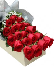 1 dozen Red Holland Rose in a Box