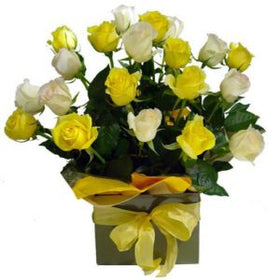 1 dozen White and Yellow Roses in a Box