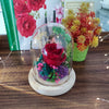 Preserved Real Rose in a Dome glass with Led Lights