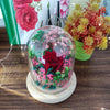 Preserved Real Rose in a Dome glass with Led Lights
