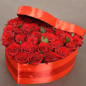 2 dozen Red Holland Roses in a Box