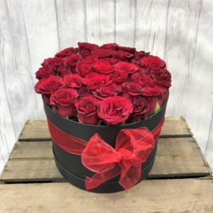 2 dozen Red Holland Roses in a Box