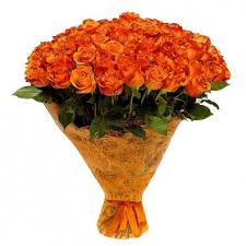 3 dozen Orange Roses in a Bouquet