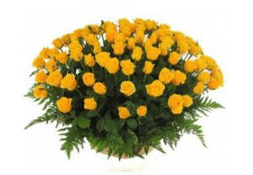 3 dozen Yellow Roses in a Basket