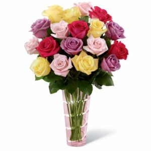4 Mixed Color of 2 dozen Holland Roses in a vase