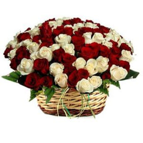 4 dozen Red and White Roses in a Basket