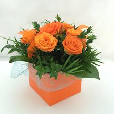 6 pcs Orange Roses in a Box