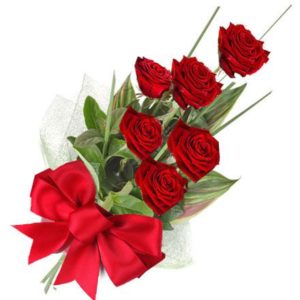6 pcs Red Holland Roses in a Bouquet with 16inches Teddy Bear