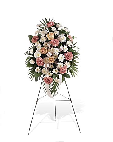 Standing Sympathy
