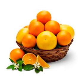 Sweet Orange Fruit Basket