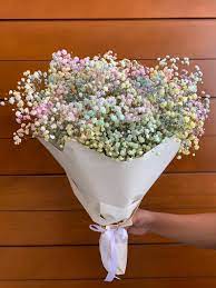 Dried Gypso flowers Bouquet