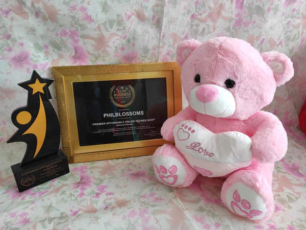 Philblossoms  Pink 16inhces  Bear